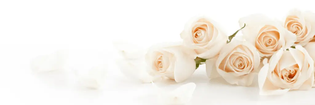 begravelsesbyrå sunnmøre, giske og sula